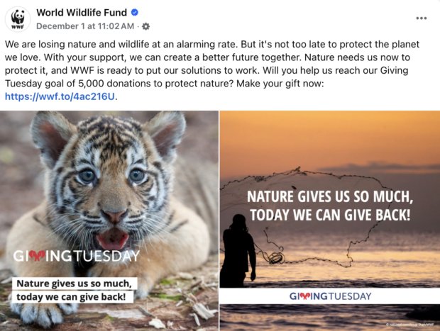 example of social media donation post from World Wildlife Fund