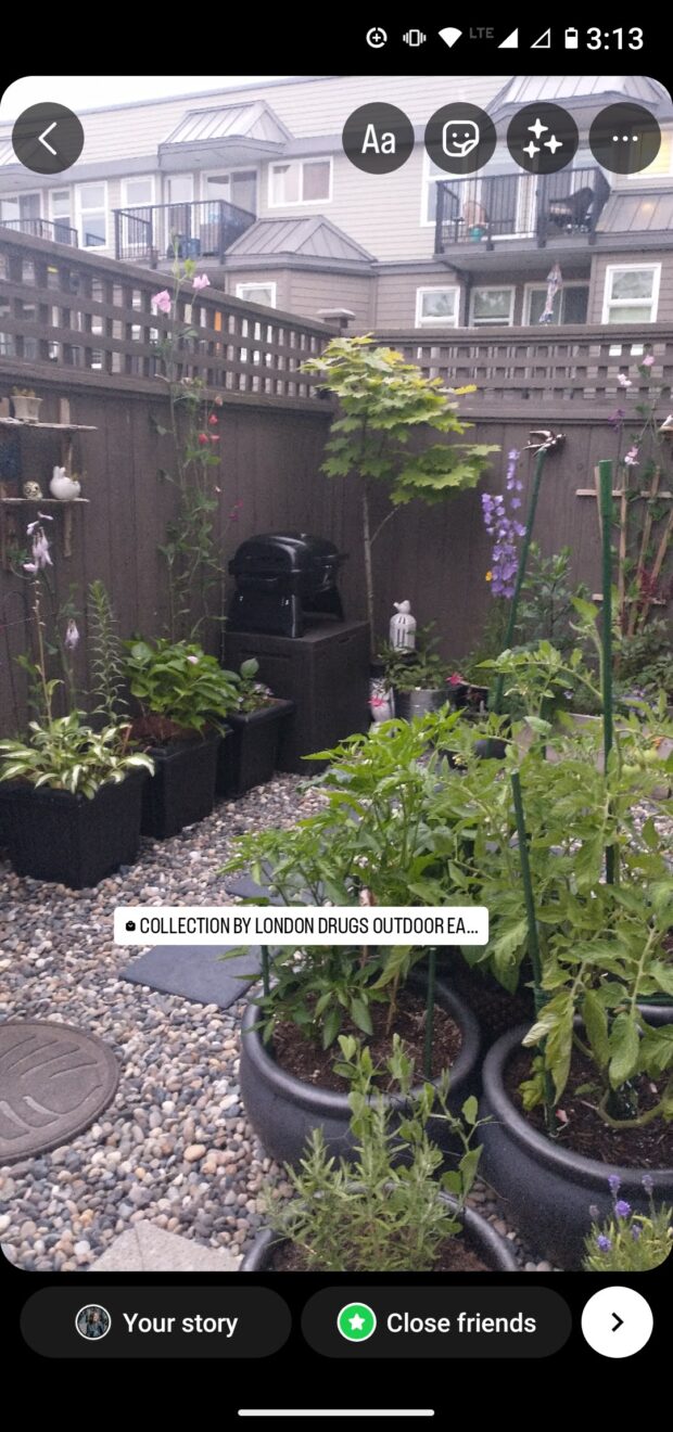 How to Use Instagram Stories 14 Tricky Questions Answered