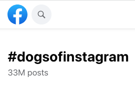 the hashtag #dogsofinstagram also shows results on facebook