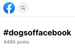 the facebook hashtag #dogsoffacebook shows more relevant results