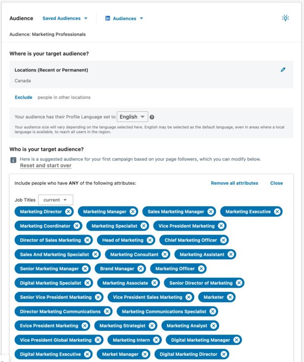Setting up a target audience for LinkedIn ad campaign