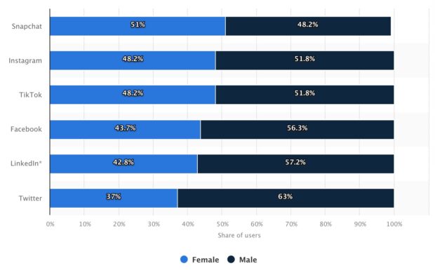 LinkedIn gender demographics