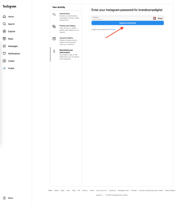 enter password for Instagram account and click download