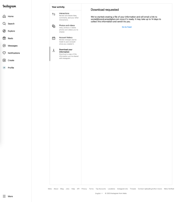 your activity on Instagram download requested