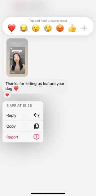 instagram emoji shown in direct message