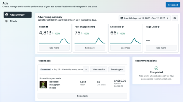 Meta ads dashboard Instagram and Facebook advertising summary 