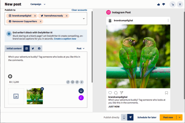 new post Hootsuite Composer pair of parrots looking at each other