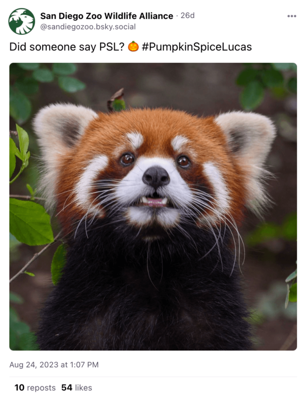 A post from the San Diego Zoo shows red panda named Lucas with the caption 