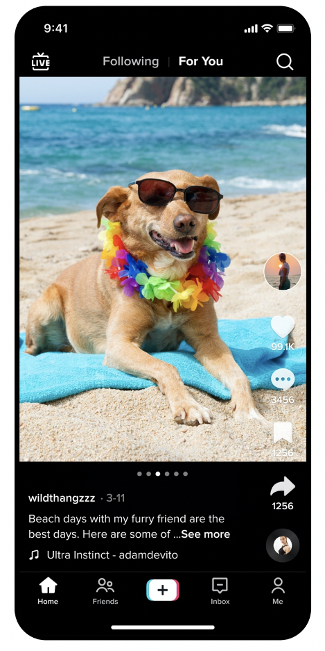 TikTok Photo Mode beach days with dog in sunglasses