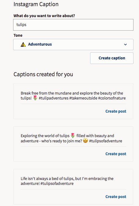 Instagram caption generator tulips with adventurous tone