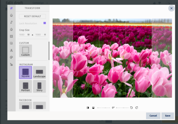 préparation d'une photo de tulipes pour Facebook ou Instagram avec les outils pour rogner ou redimensionner