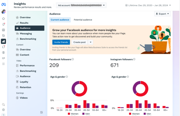 Meta Business Suite Insights Estimated audience size