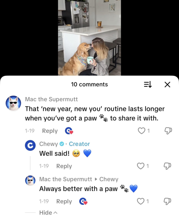 The brand Chewy responding to comments under a TikTok video