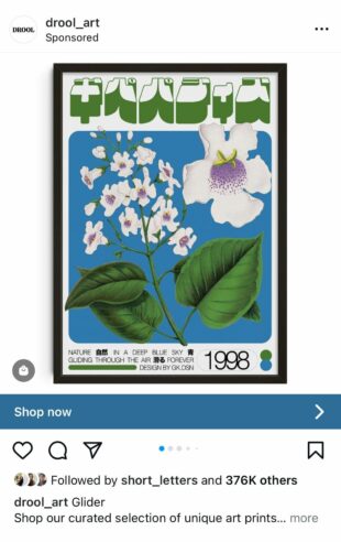 A screenshot of an Instagram carousel ad from brand drool_art