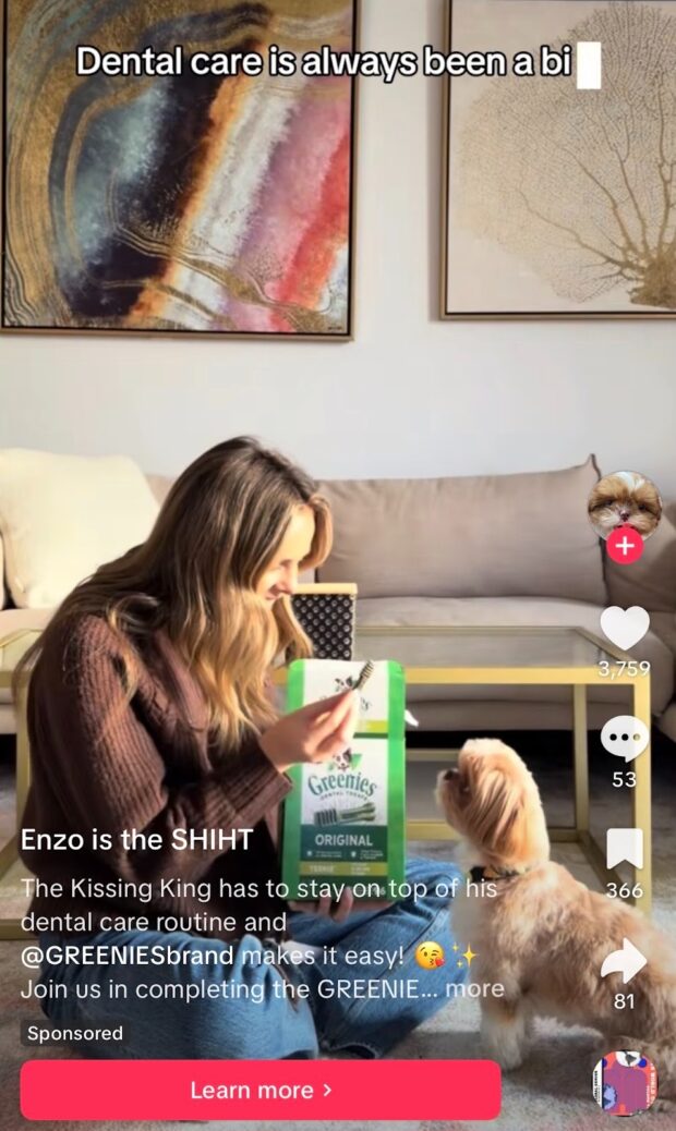 Sponsored post on TikTok from Enzo is the SHIHT featuring a product from Greenies