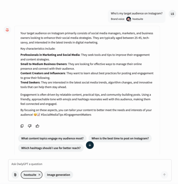 Screenshot of OwlyGPT answering the question “Who’s my target audience on Instagram?” The response identifies social media managers, marketers, business owners, content creators, influencers, and trend seekers as the primary Instagram audience. It highlights their interest in social media strategies, engagement tips, and real-time social trends, with hashtags #SocialMediaTips and #EngagementMatters.