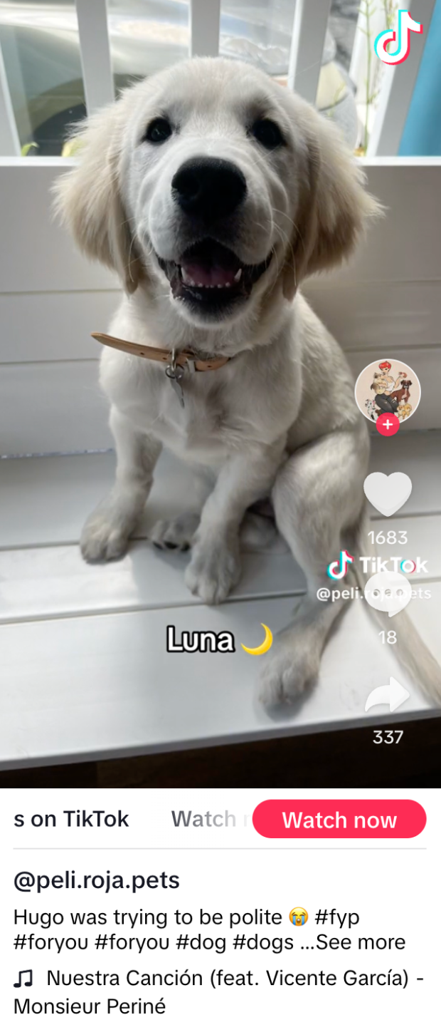 TikTok video example