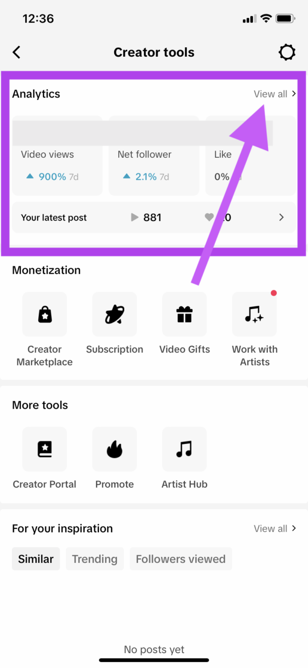 How to access in-depth analytics in TikTok