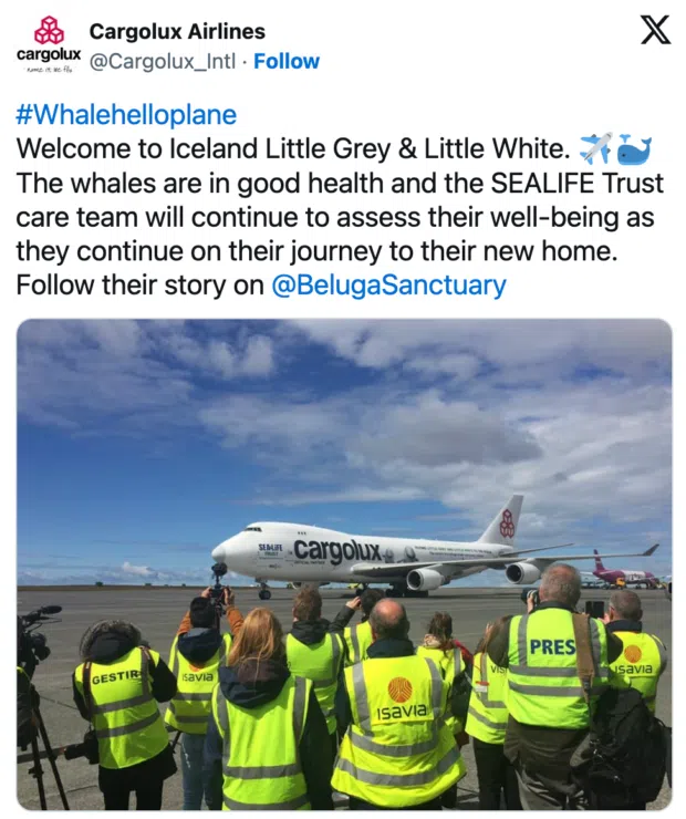 A tweet from Cargolux Airlines welcoming two whales to Iceland