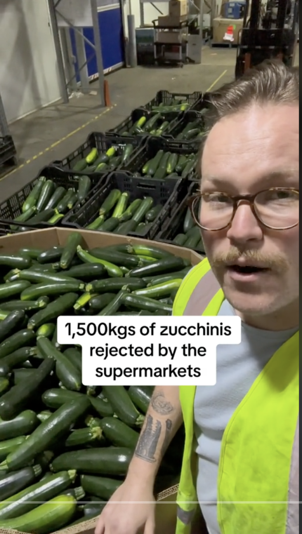 1500kgs of zucchinis rejected by the supermarkets data farmers pick