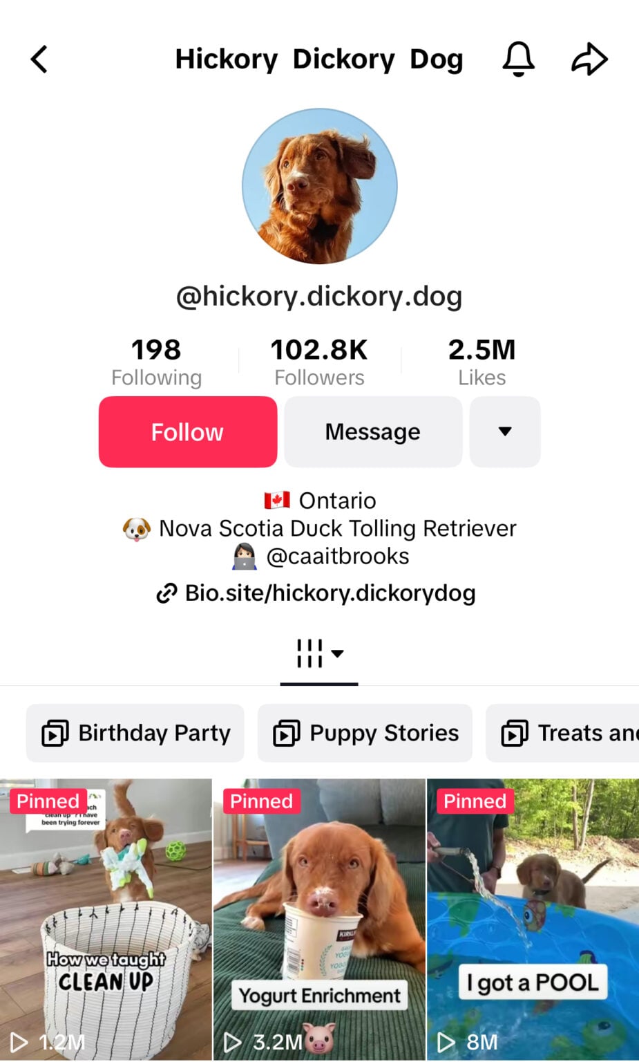 100+ best TikTok username ideas with free username generator