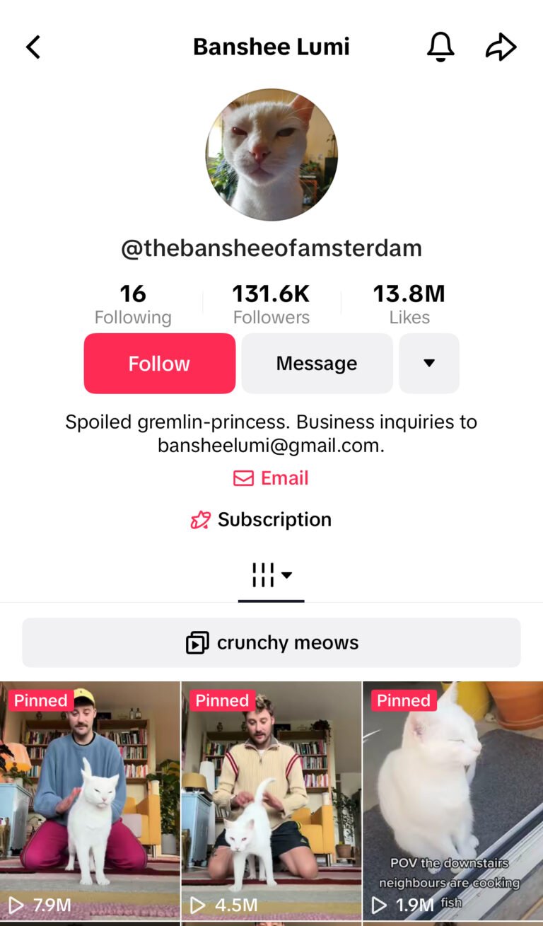 100+ best TikTok username ideas with free username generator