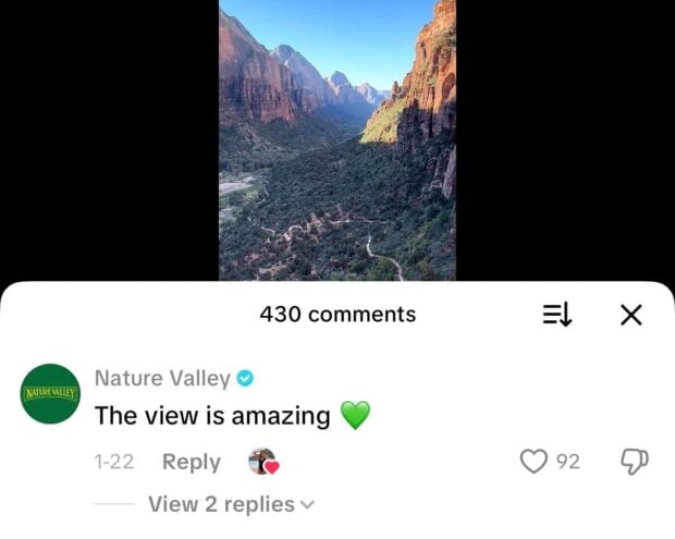 Nature Valley commenting on a TikToker's video