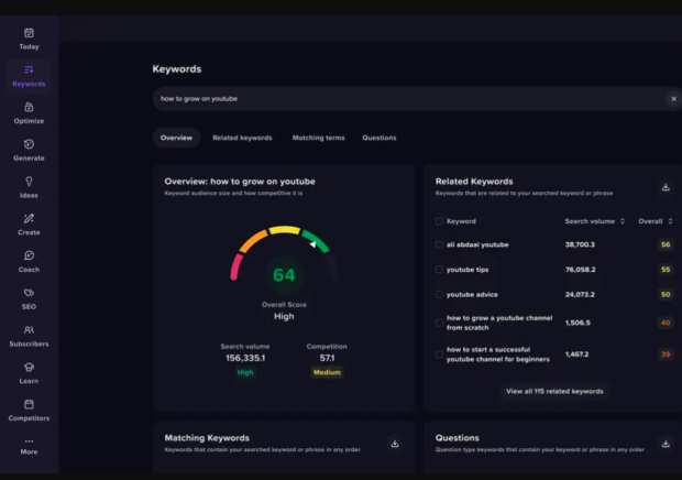 VidIQ keywords overview