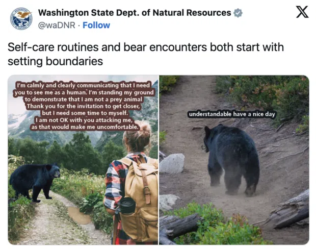 Accessible Tweet example