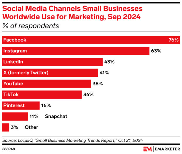 social media channels small businesses worldwide use for marketing Facebook Instagram LinkedIn top
