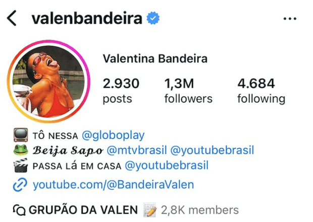 A imagem mostra o perfil da atriz Valentina Bandeira, cuja biografia contém os programas que ela participa em fontes diferentes e a respectiva emissora, além de um link do Youtube.