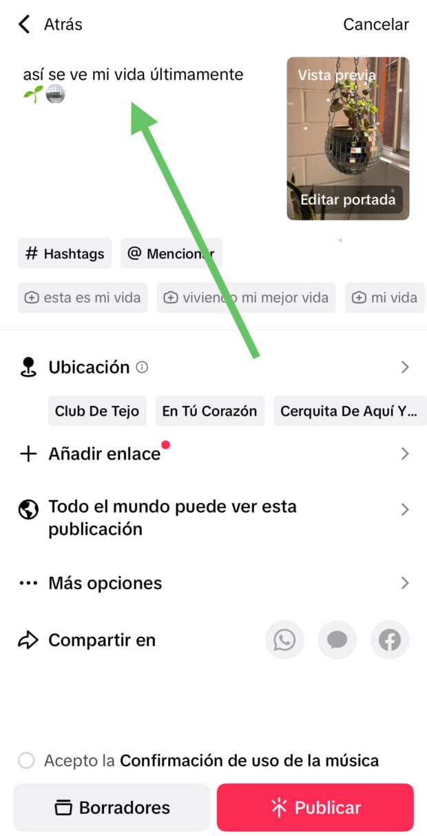 agrega una descripción como último paso antes de publicar en TikTok
