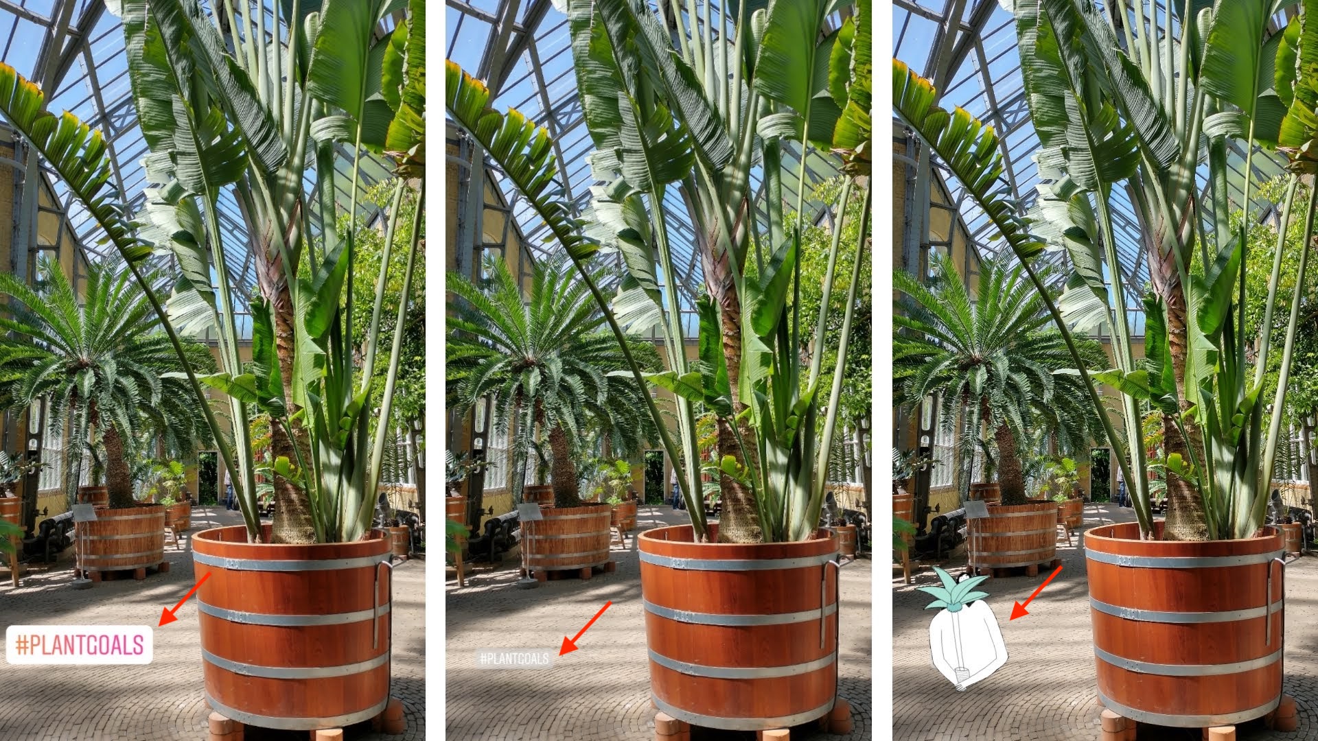 Instagram Hashtags Ultimate Guide [+101 hashtags for 2022]