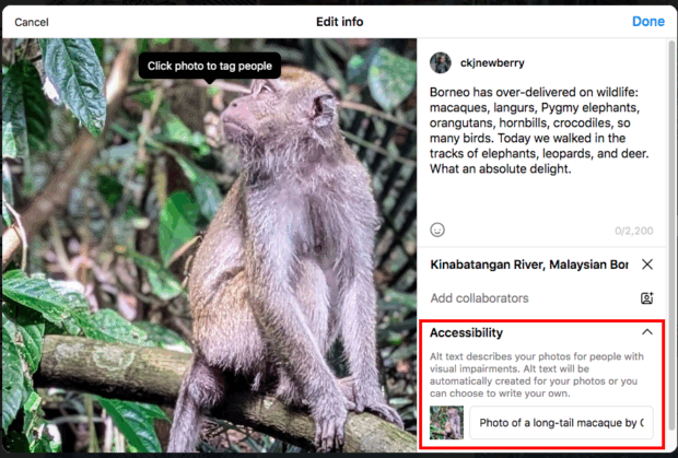 Long tailed macaque with accessibility feature using alt text to describe photo for people with visual impairments