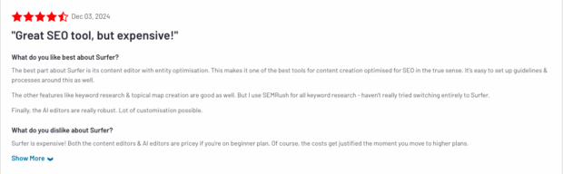 Surfer great SEO tool but expensive