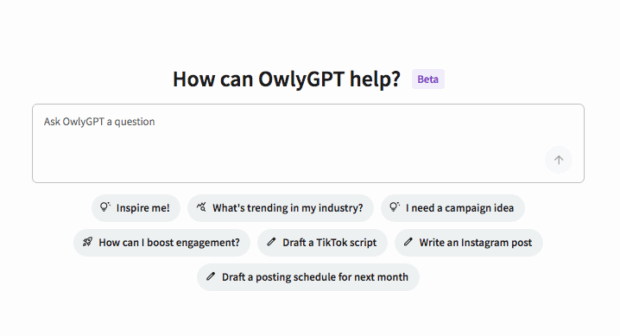 Main view of OwlyGPT in the Hootsuite dashboard