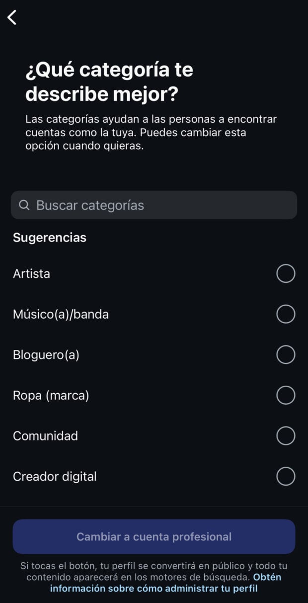 categoría que mejor describa la cuenta de Instagram con sugerencias como artista, ropa y bloguero