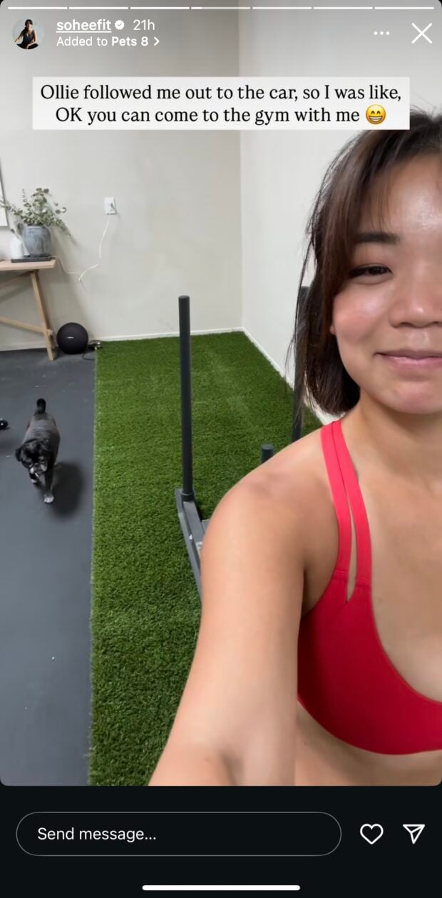 instagram story showing fitness influencer's dog jumping into her recorded content
