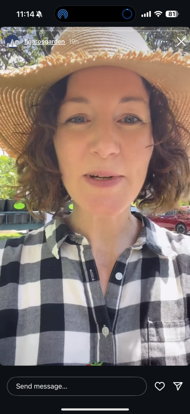 a woman from figaros garden, a garden supply store in vancouver, facing the camera. you can tell she is talking to the audience