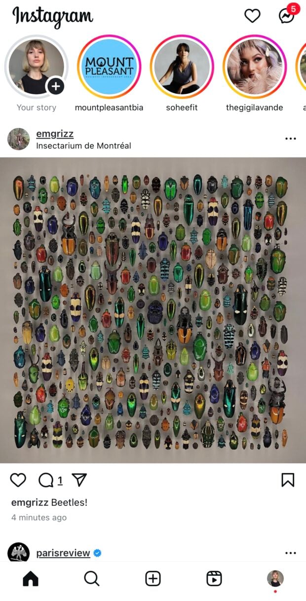 homepage of hannah macreadys instagram grid showing stories and posts from people she follows with a pink arrow pointing to the post button on the bottom middle of the screen