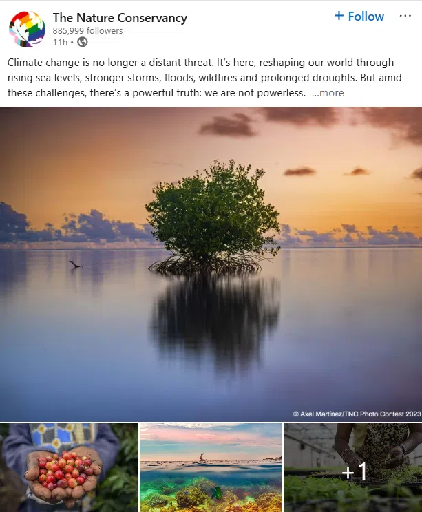 The Nature Conservancy climate change photos