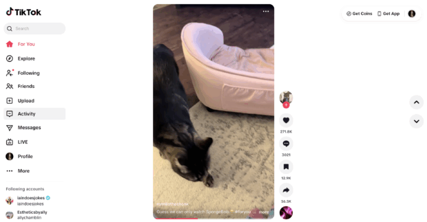 TikTok activity and messages
