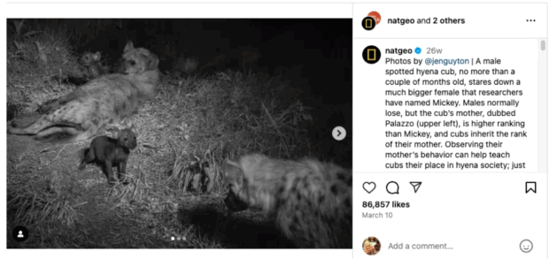 national geographic social-media-strategy