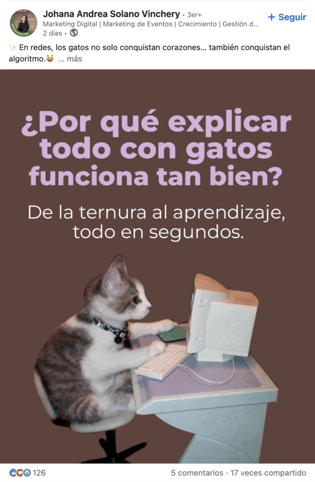publicación sobre por qué explicar todo con gatos funciona tan bien
