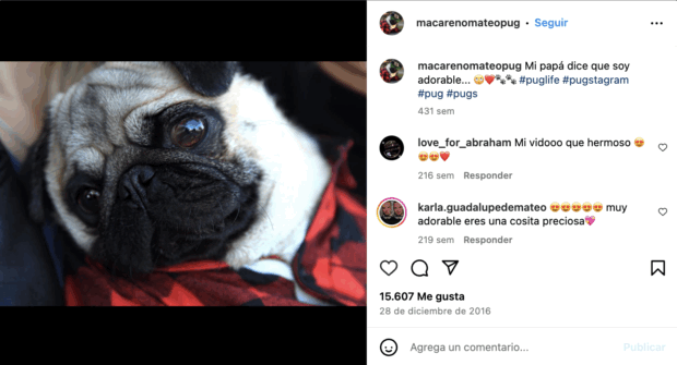 mi papá dice que soy adorable macareno mateo