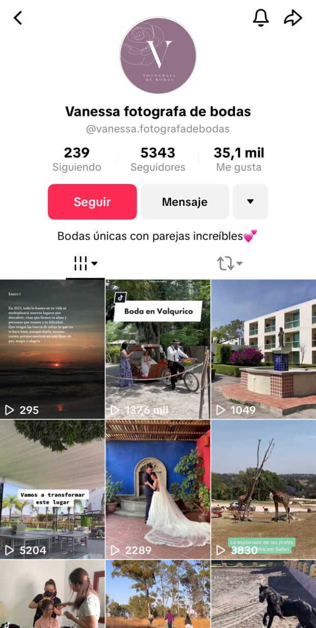 nombre de usuario Vanessa fotografa de bodas