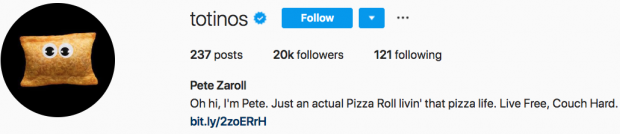 Totinos Instagram bio