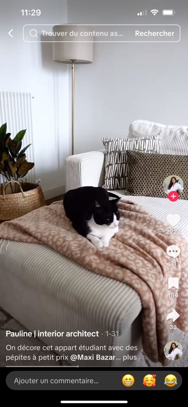 vidéo TikTok de décoration intérieure d’un appartement d’étudiant