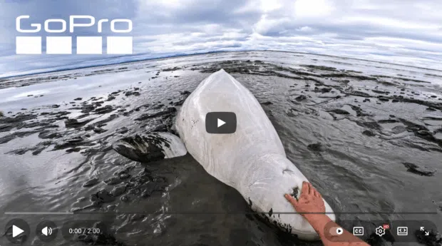 Youtube video from GoPro