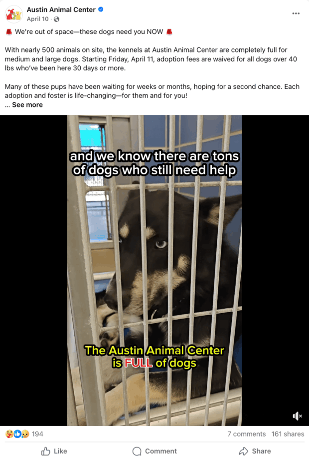 A social media post from Austin Animal Center urgently requesting adoptions for dogs due to full kennels, an example of impactful social media for nonprofits in animal welfare.